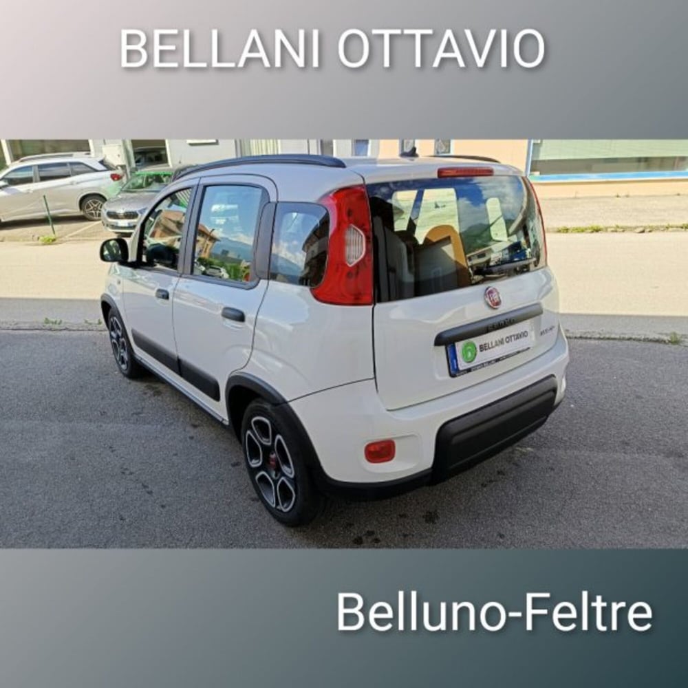 Fiat Panda usata a Belluno (5)