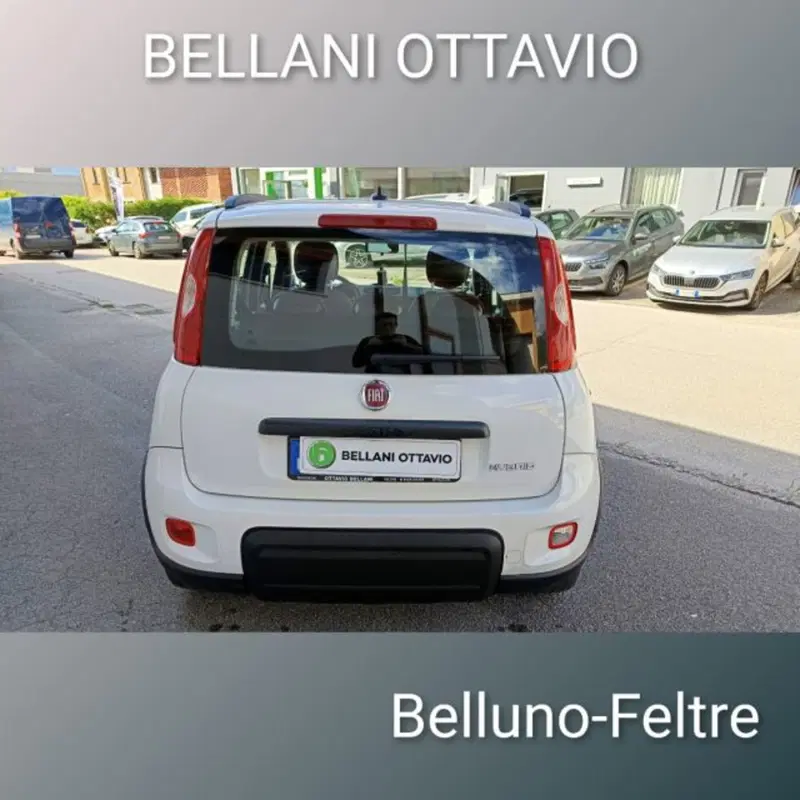 Fiat Panda usata a Belluno (6)