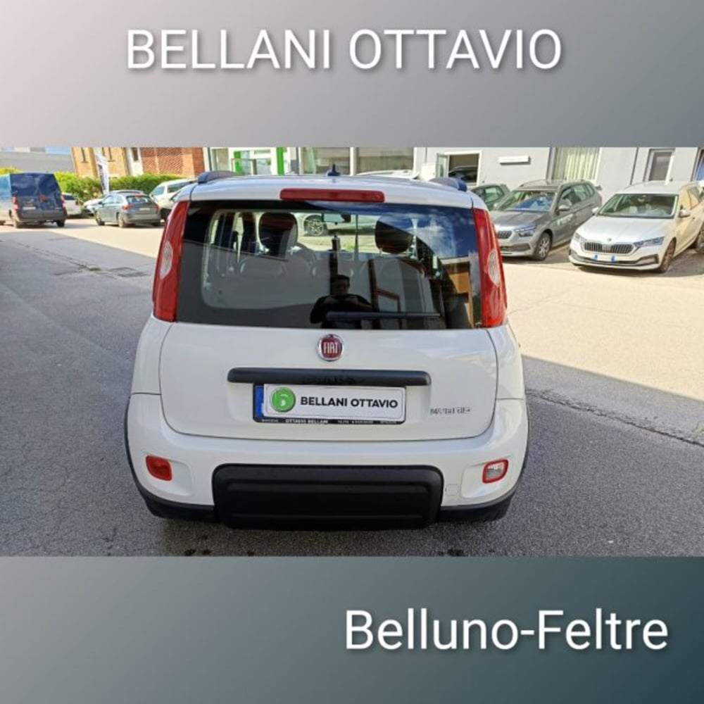 Fiat Panda usata a Belluno (6)