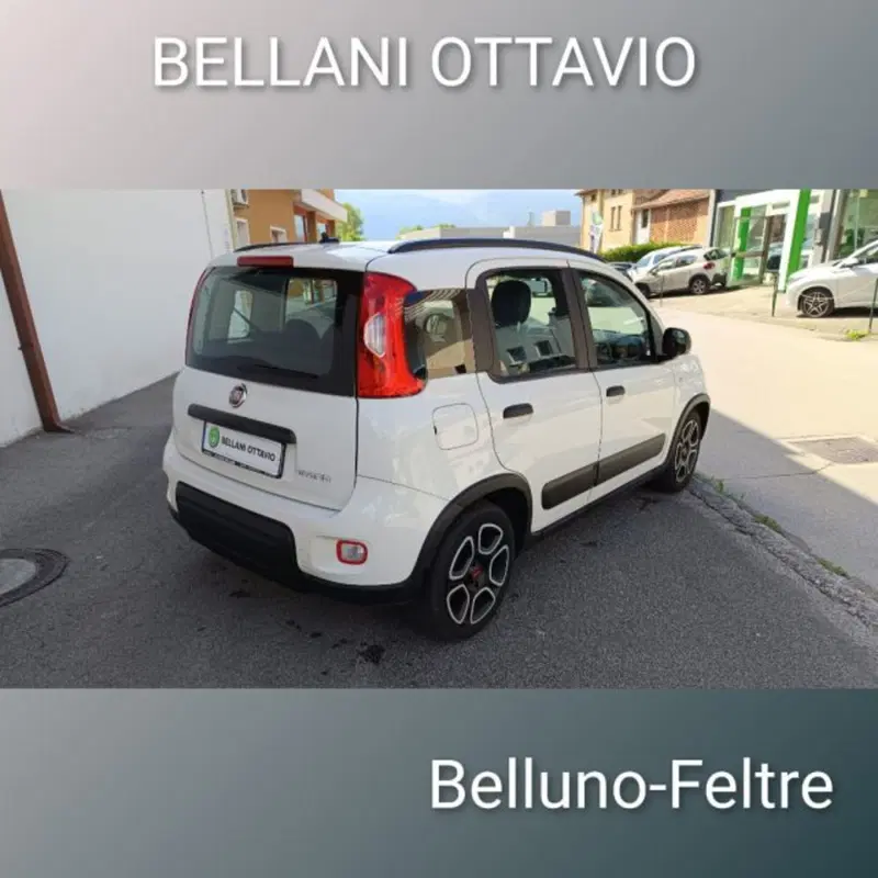 Fiat Panda usata a Belluno (7)