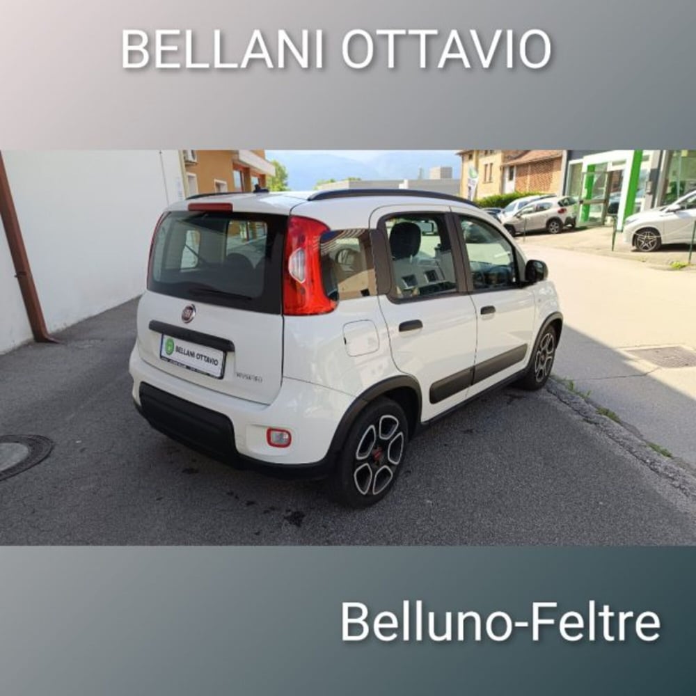 Fiat Panda usata a Belluno (7)