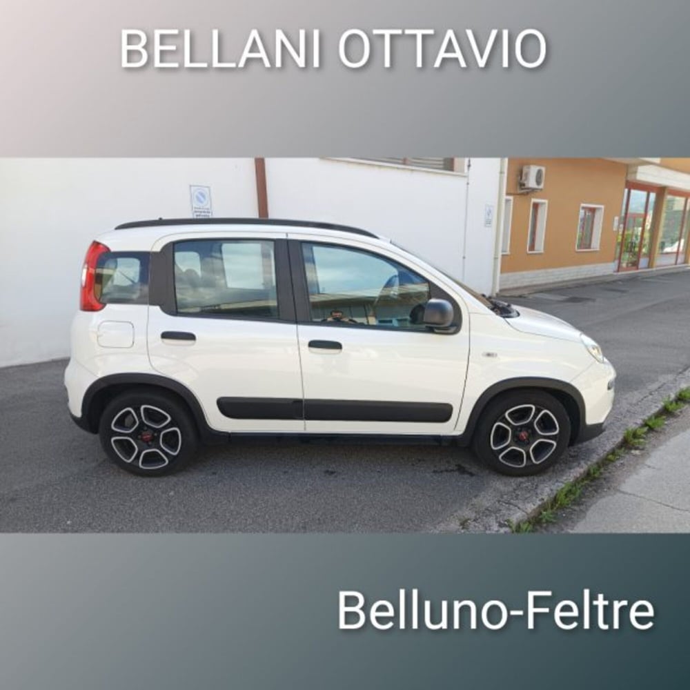 Fiat Panda usata a Belluno (8)