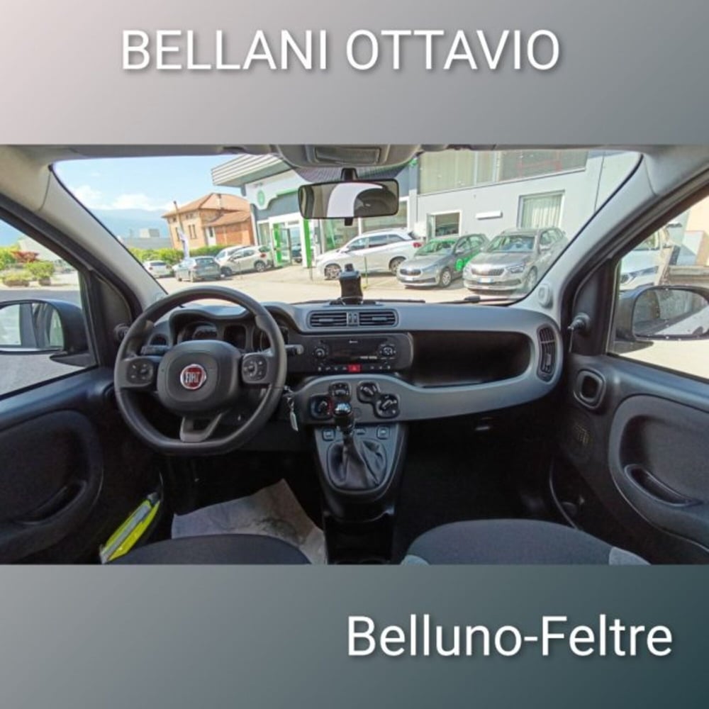 Fiat Panda usata a Belluno (9)