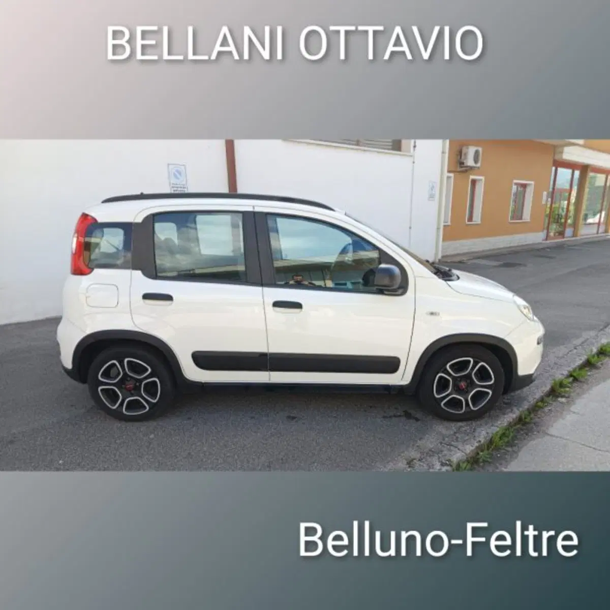 Fiat Panda usata a Belluno (8)