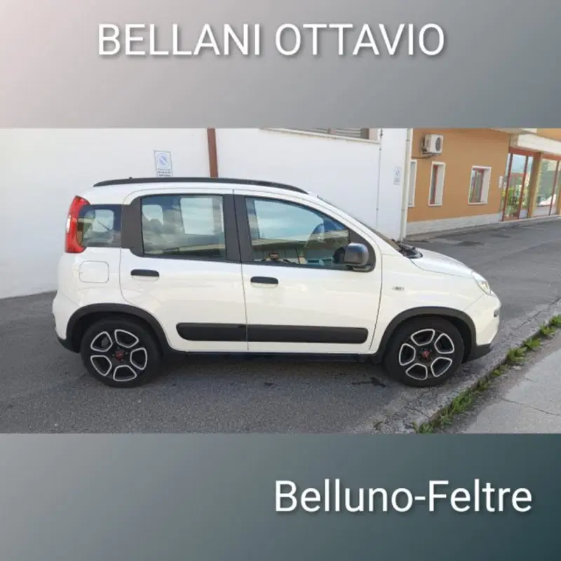 Fiat Panda usata a Belluno (8)