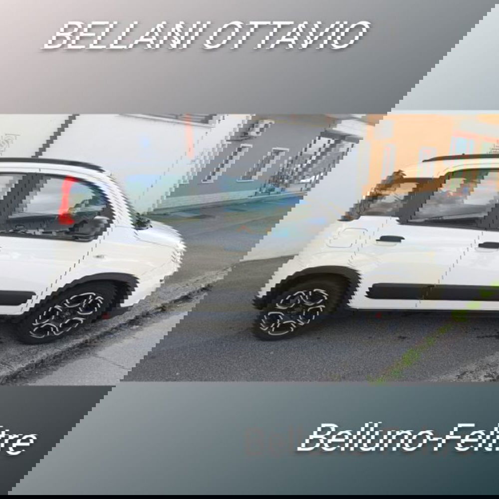 Fiat Panda usata a Belluno (8)