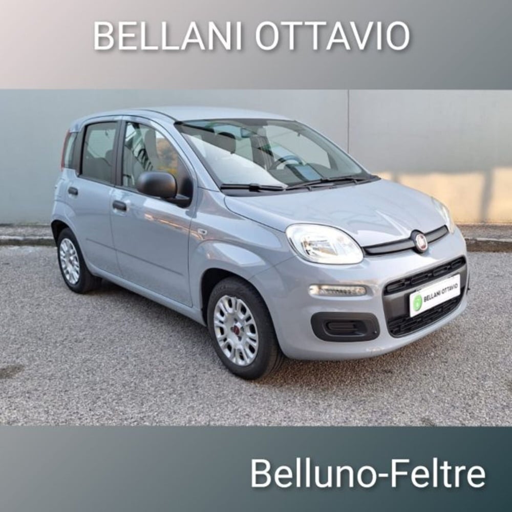 Fiat Panda usata a Belluno