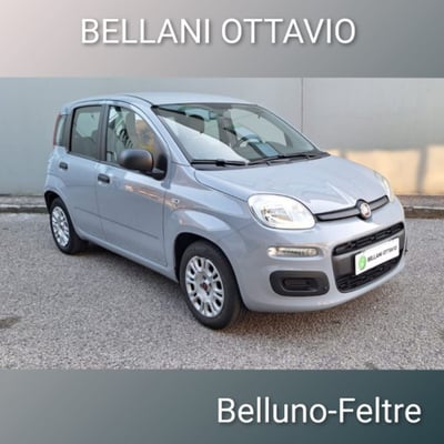 Fiat Panda 1.0 firefly hybrid s&amp;s 70cv 5p.ti del 2021 usata a Feltre