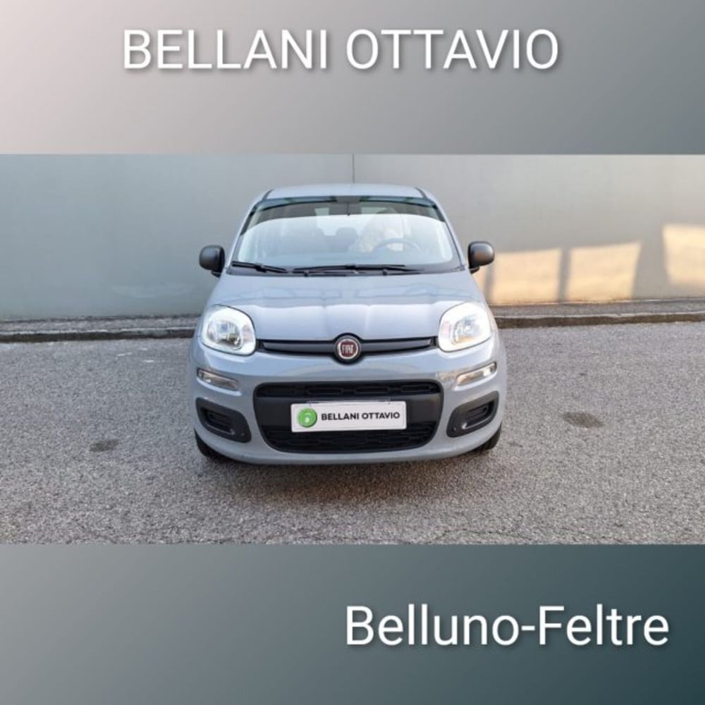 Fiat Panda usata a Belluno (2)