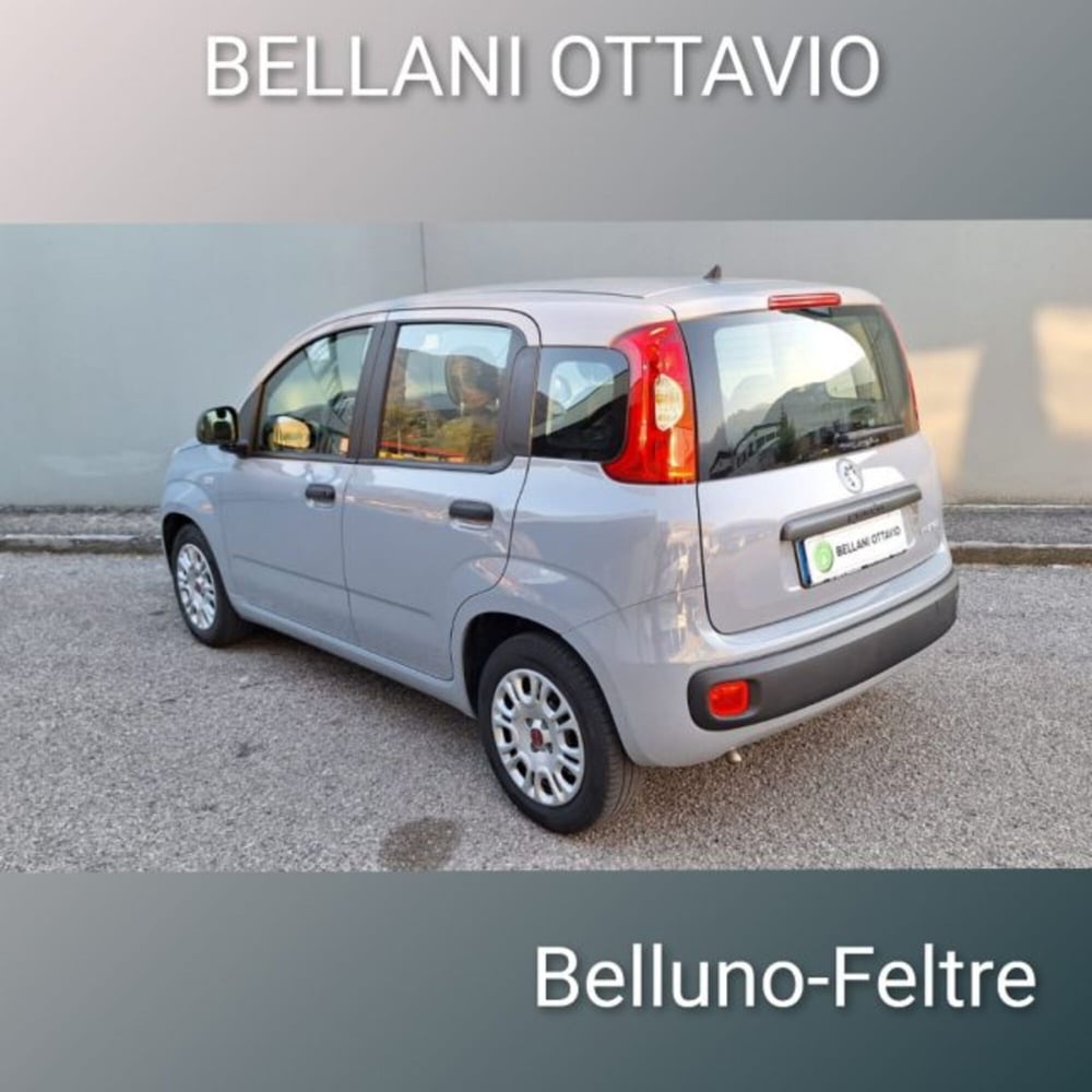 Fiat Panda usata a Belluno (3)