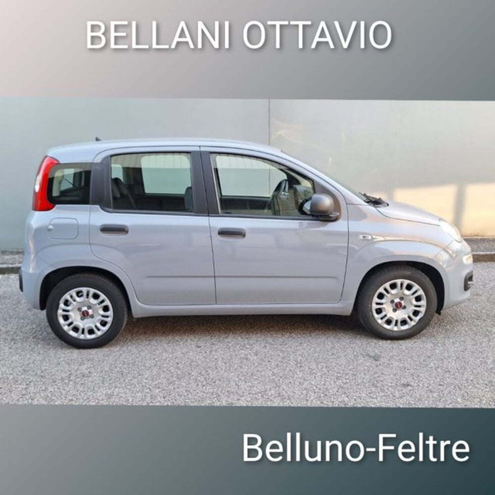 Fiat Panda usata a Belluno (4)