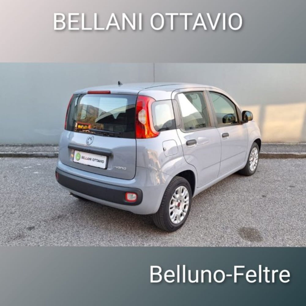 Fiat Panda usata a Belluno (5)