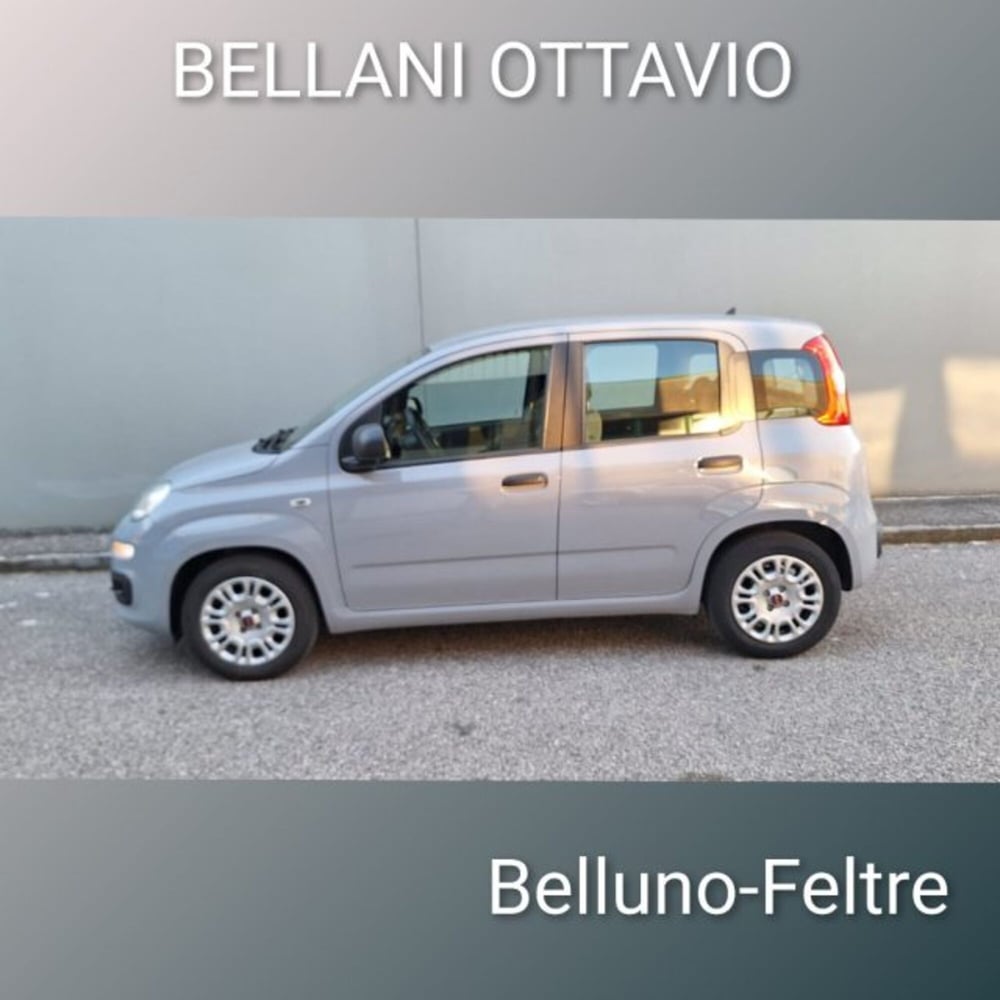 Fiat Panda usata a Belluno (6)