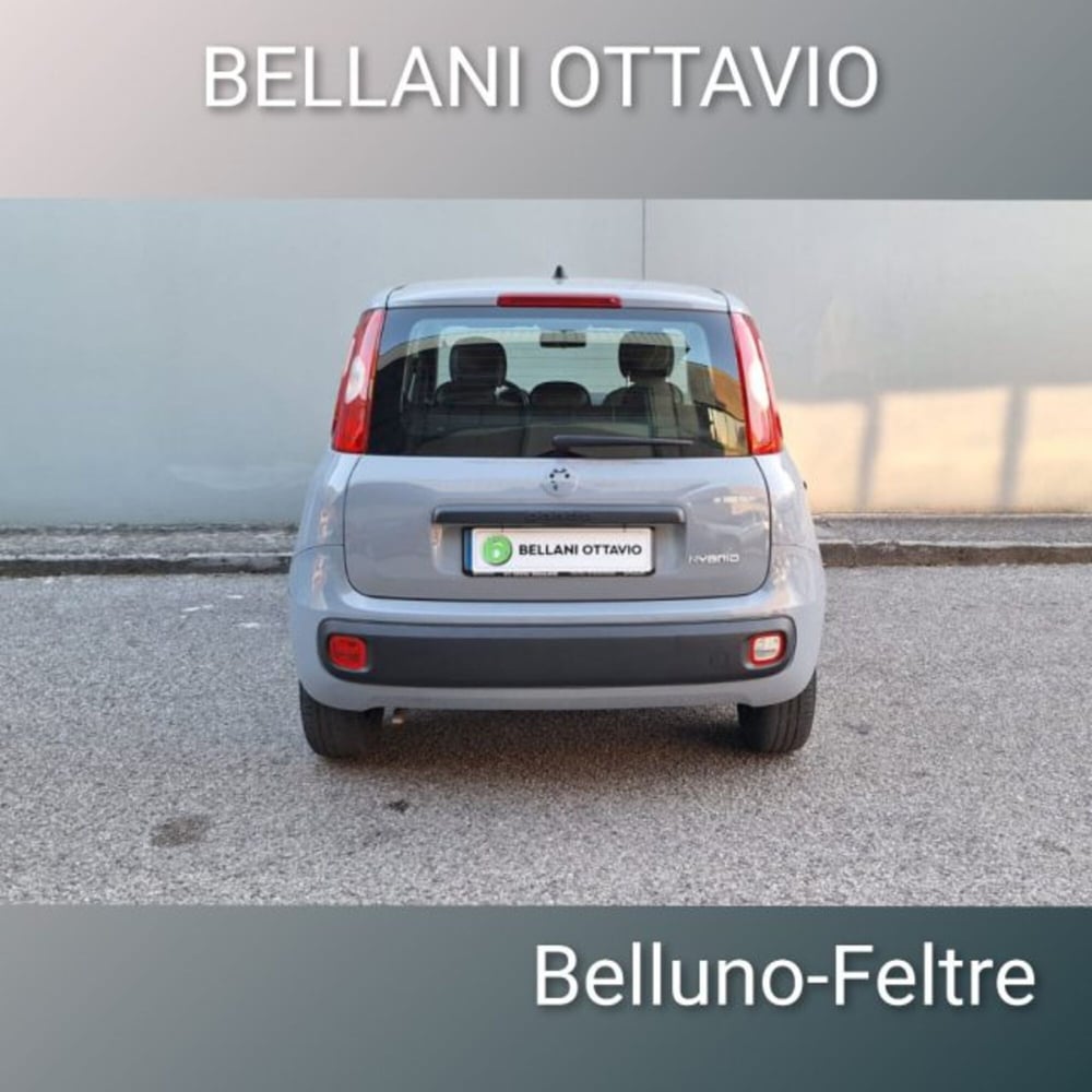 Fiat Panda usata a Belluno (7)