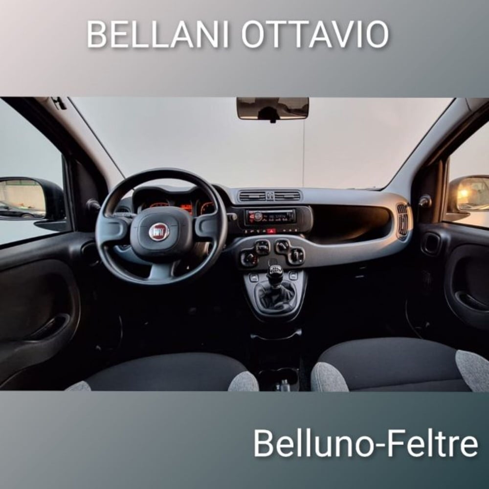 Fiat Panda usata a Belluno (8)