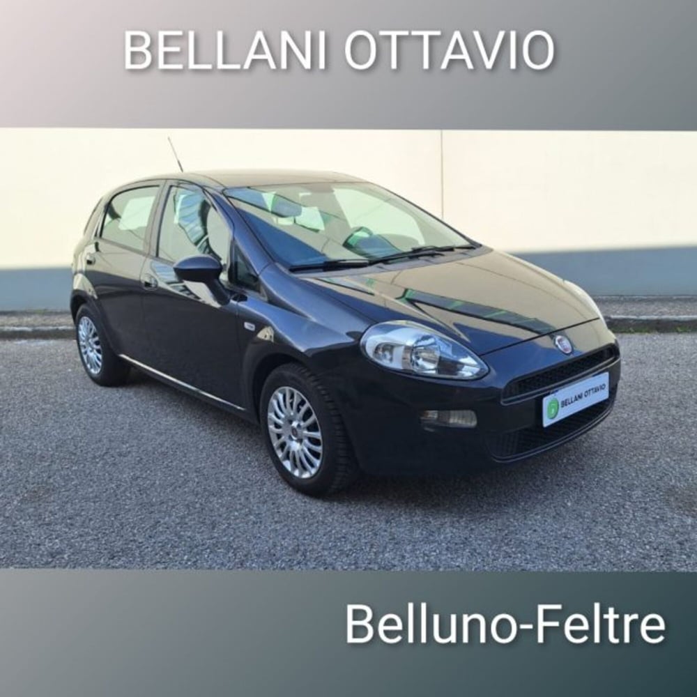 Fiat Punto usata a Belluno