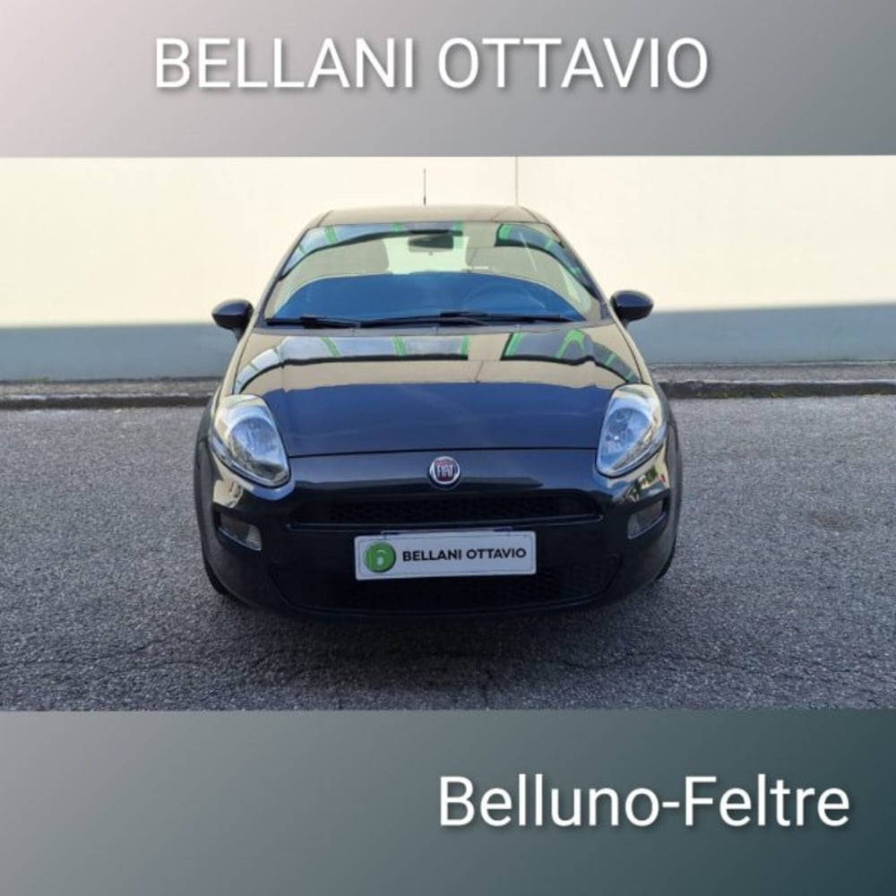 Fiat Punto usata a Belluno (2)