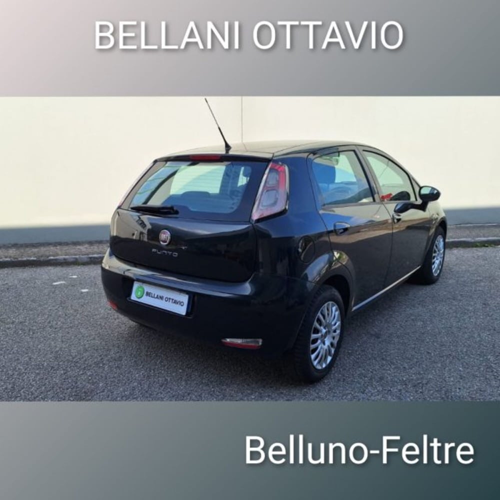 Fiat Punto usata a Belluno (3)