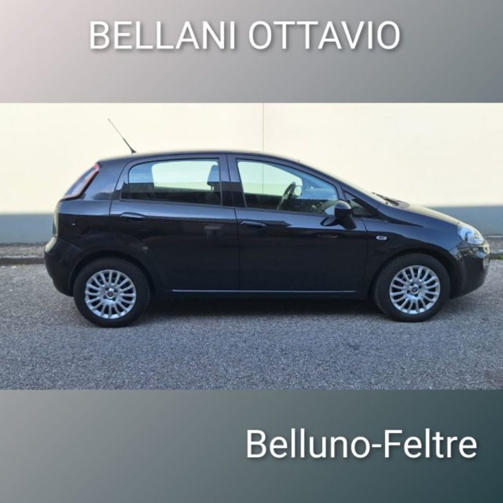 Fiat Punto usata a Belluno (4)