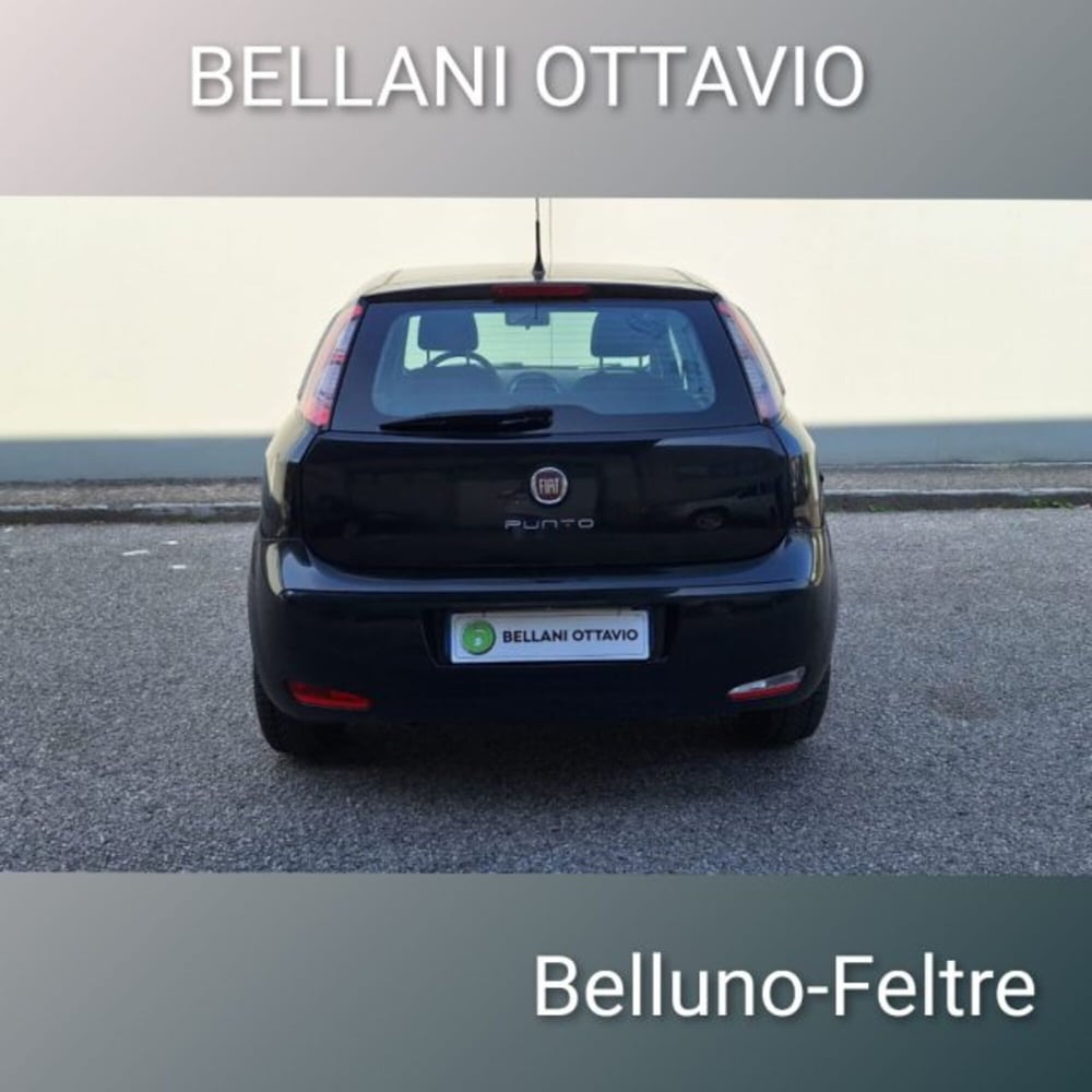Fiat Punto usata a Belluno (5)
