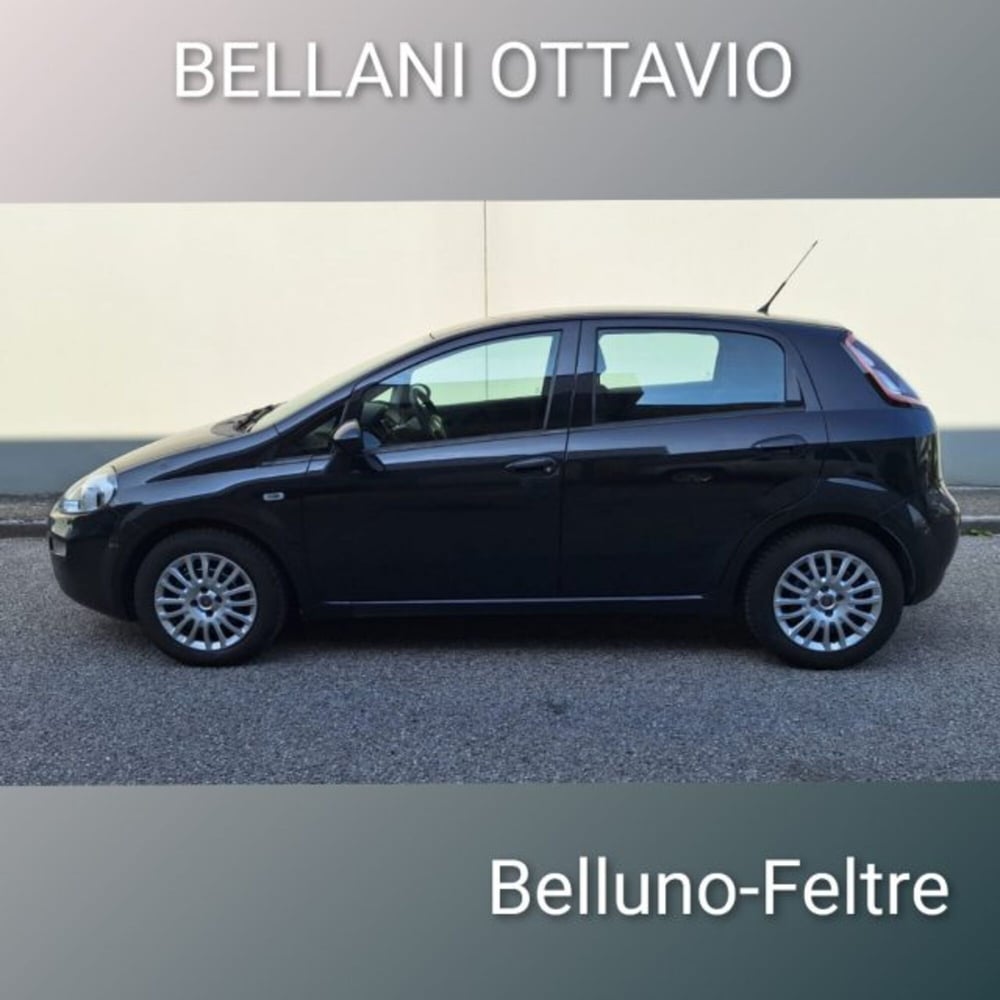 Fiat Punto usata a Belluno (6)