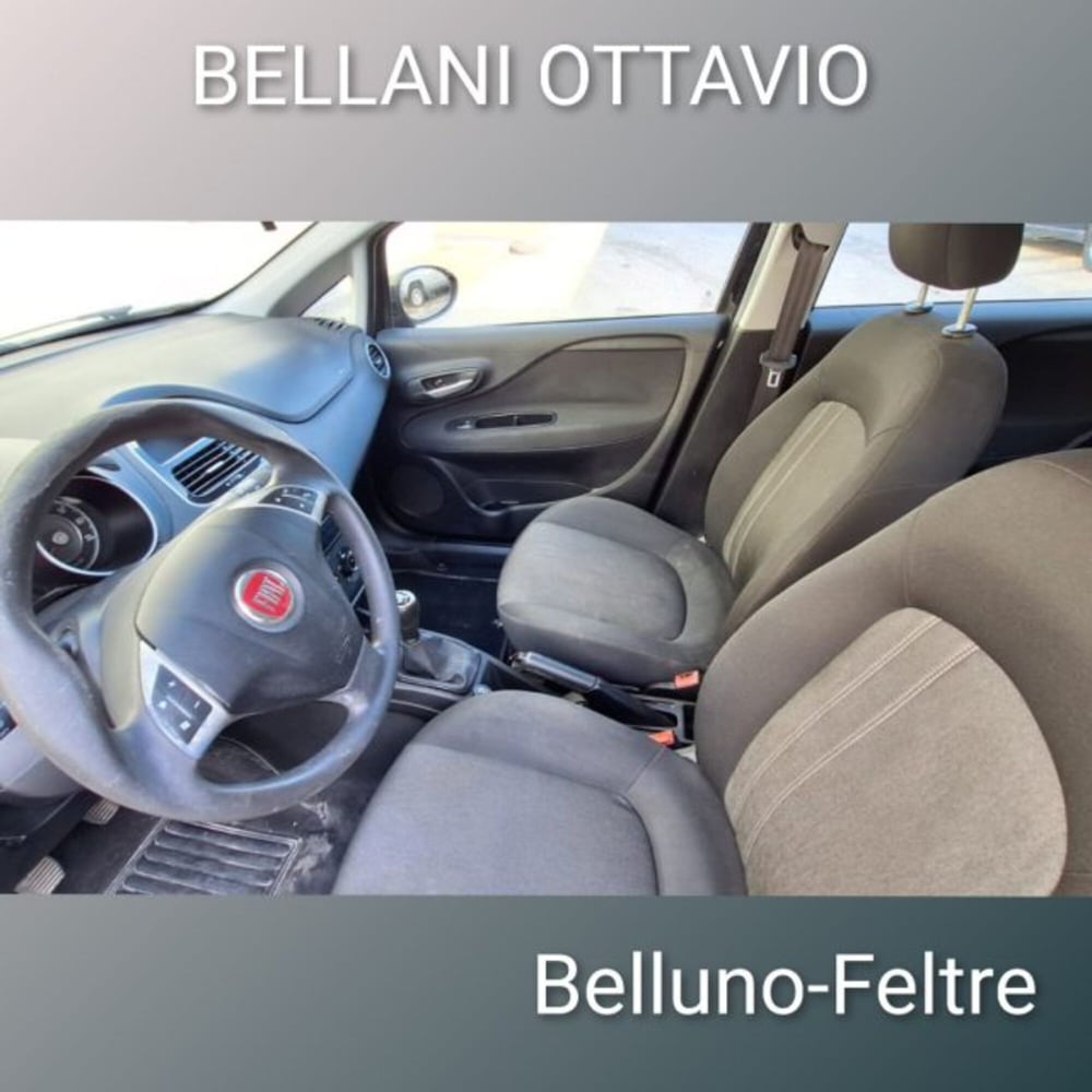 Fiat Punto usata a Belluno (7)