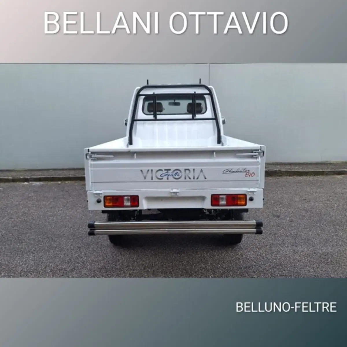 Giotti Victoria Gladiator Telaio nuova a Belluno (7)