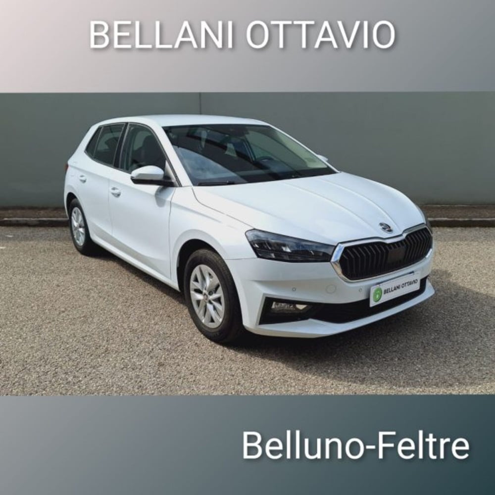 Skoda Fabia usata a Belluno