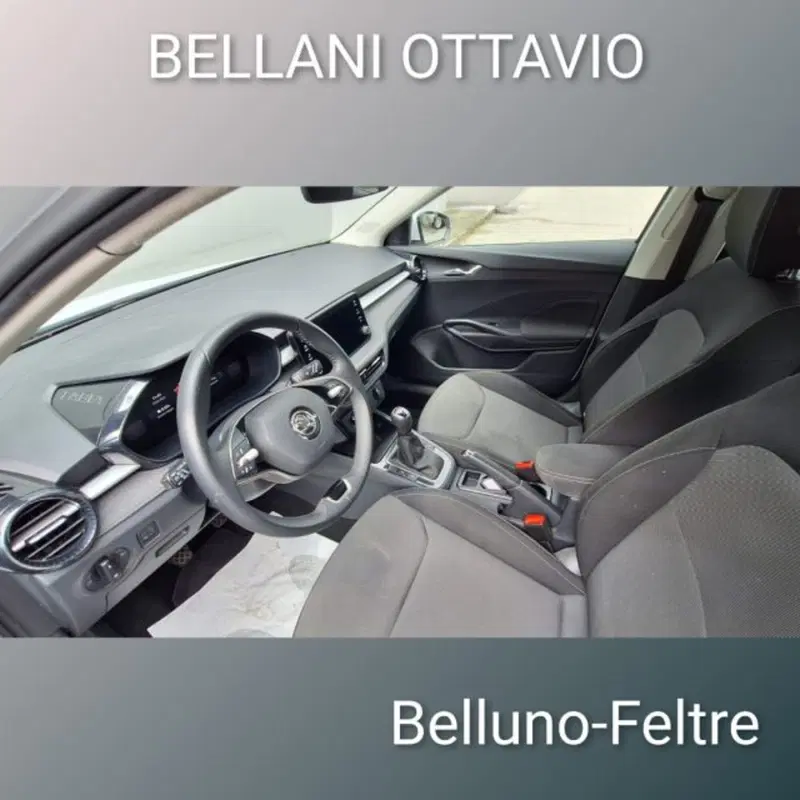 Skoda Fabia usata a Belluno (10)