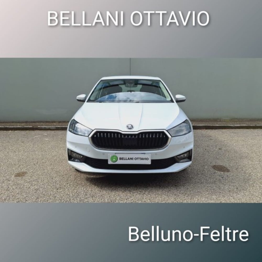 Skoda Fabia usata a Belluno (2)