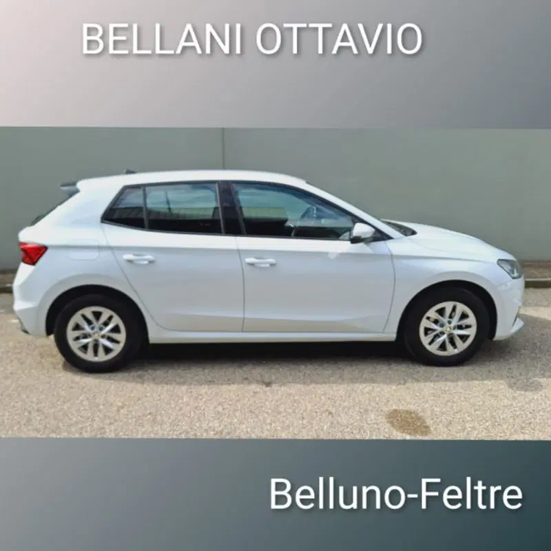 Skoda Fabia usata a Belluno (3)