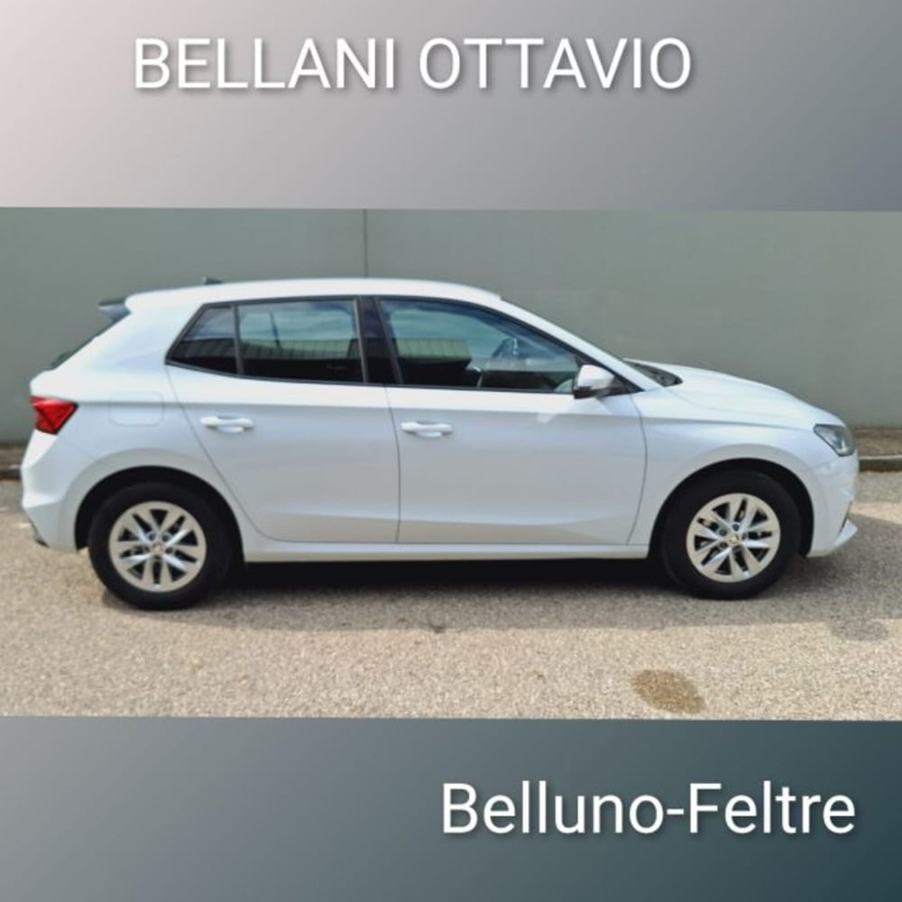 Skoda Fabia usata a Belluno (3)