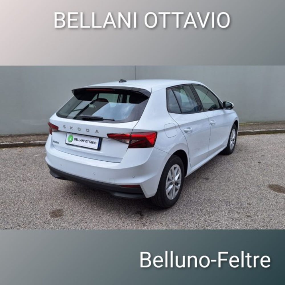 Skoda Fabia usata a Belluno (4)