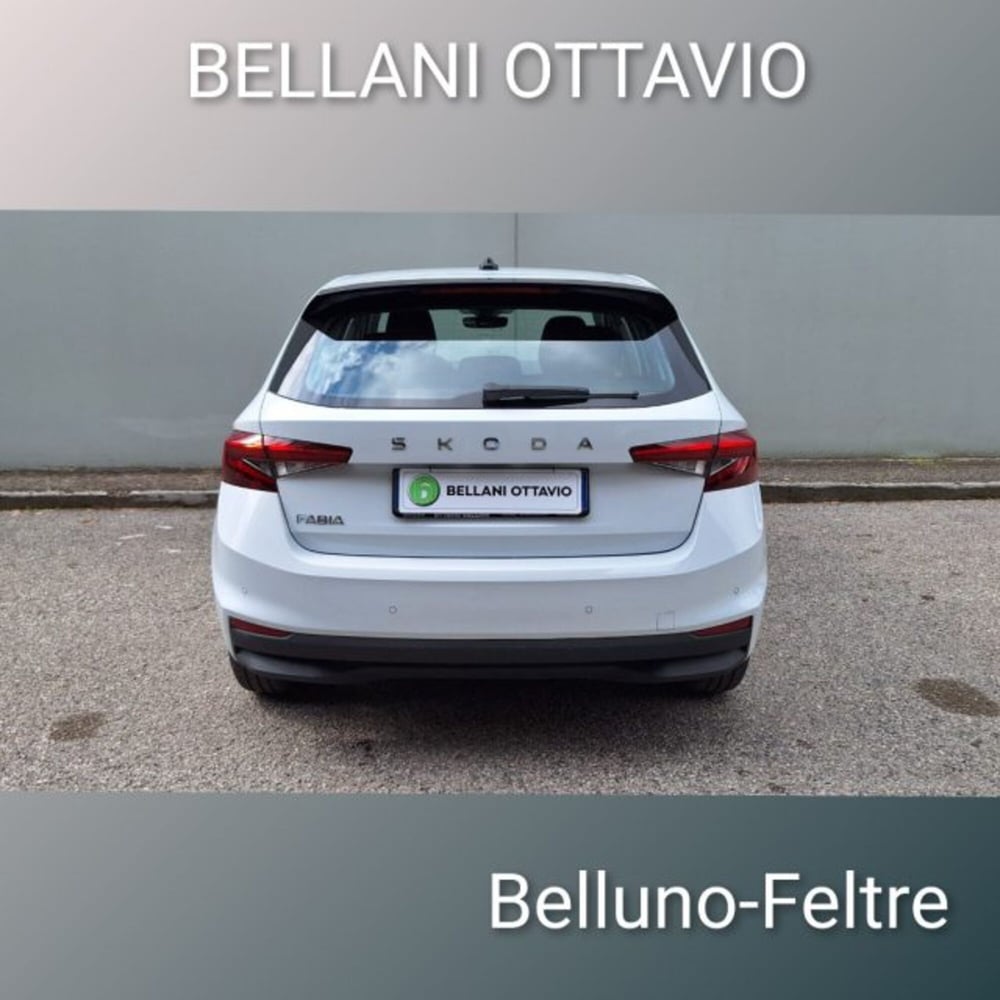Skoda Fabia usata a Belluno (5)