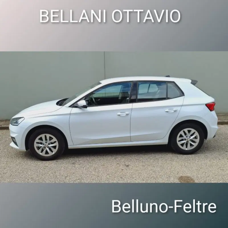 Skoda Fabia usata a Belluno (6)