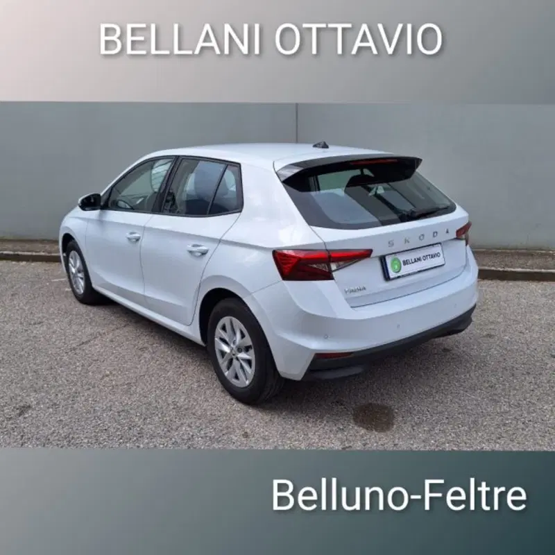 Skoda Fabia usata a Belluno (7)