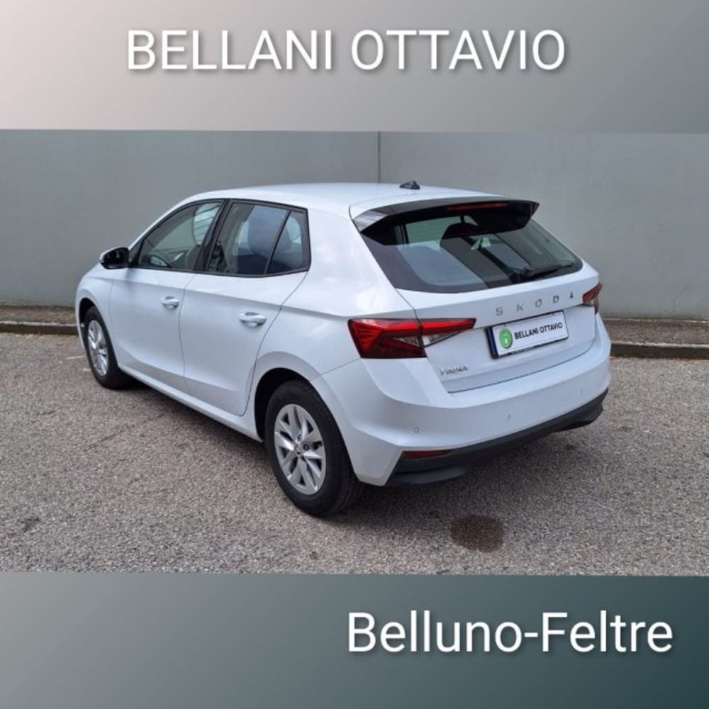 Skoda Fabia usata a Belluno (7)