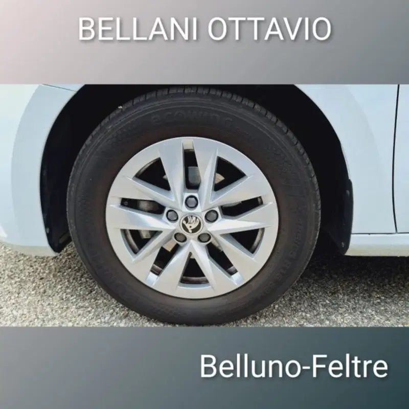 Skoda Fabia usata a Belluno (8)