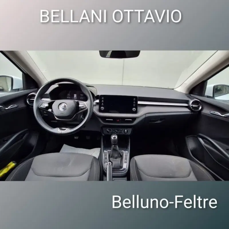 Skoda Fabia usata a Belluno (9)