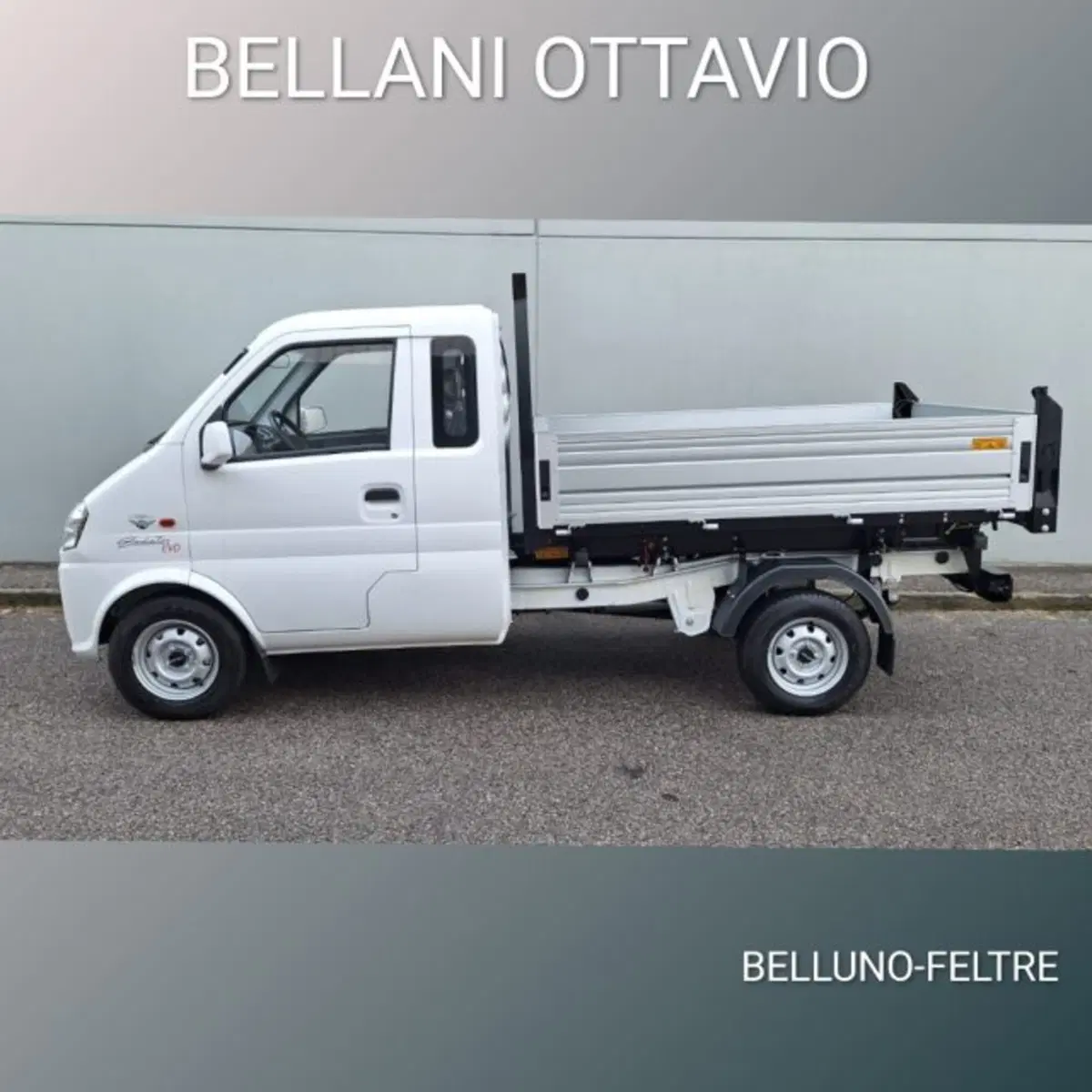 Giotti Victoria Gladiator Telaio nuova a Belluno (7)