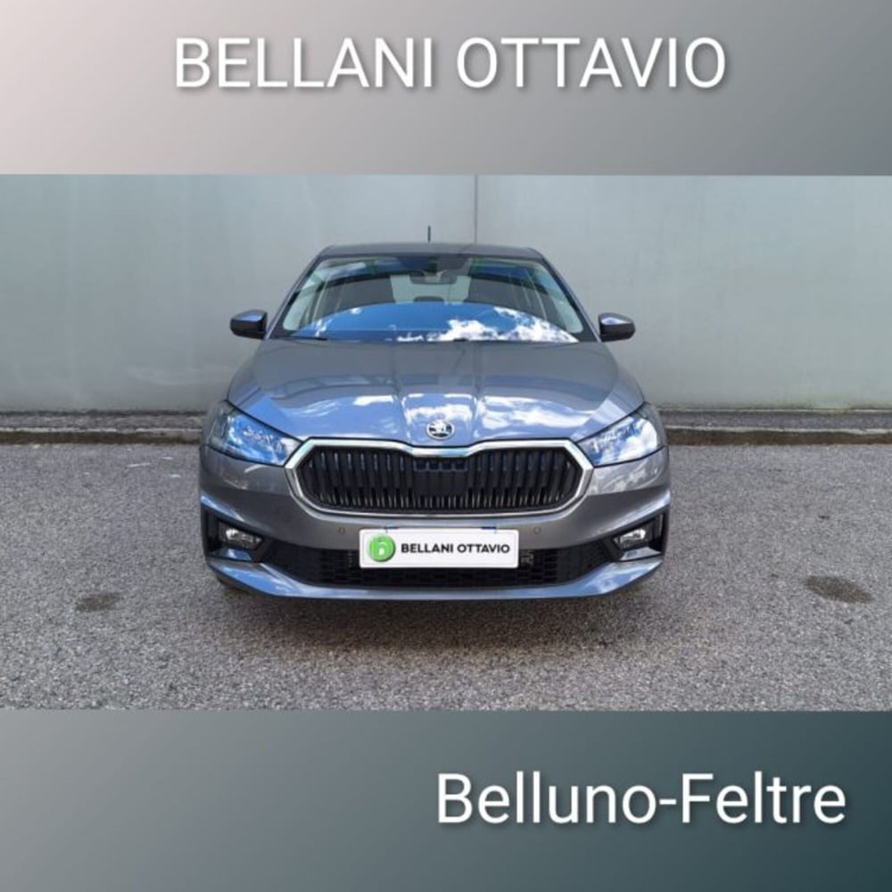 Skoda Fabia usata a Belluno (2)