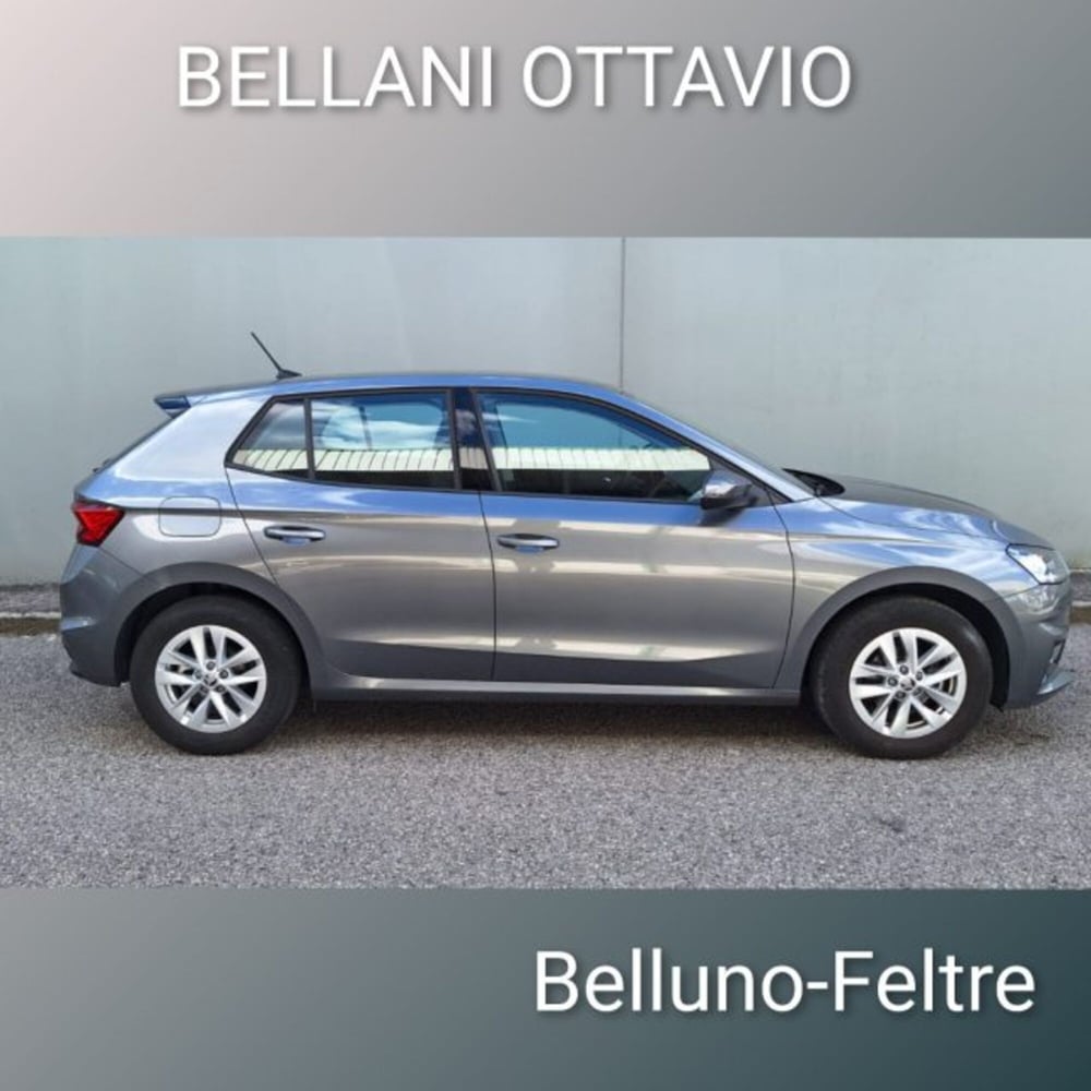 Skoda Fabia usata a Belluno (3)