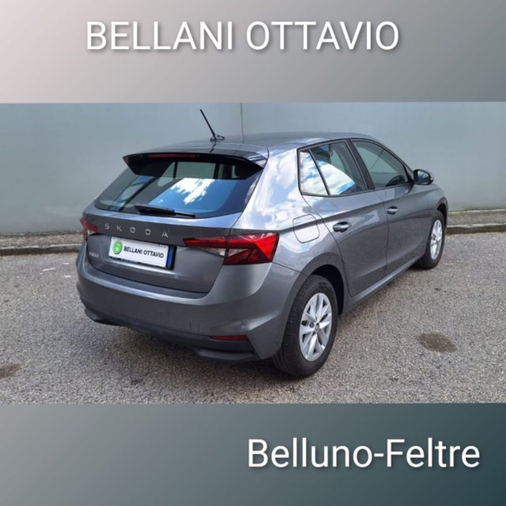Skoda Fabia usata a Belluno (5)