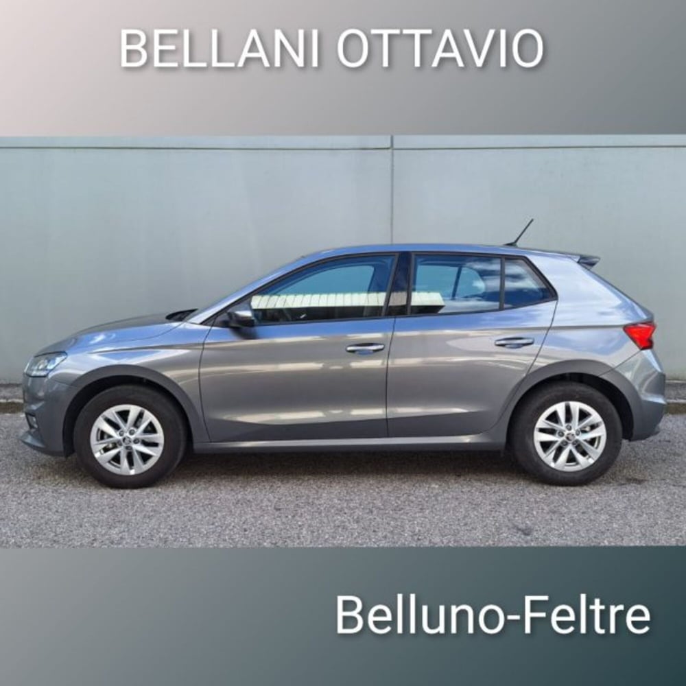Skoda Fabia usata a Belluno (6)