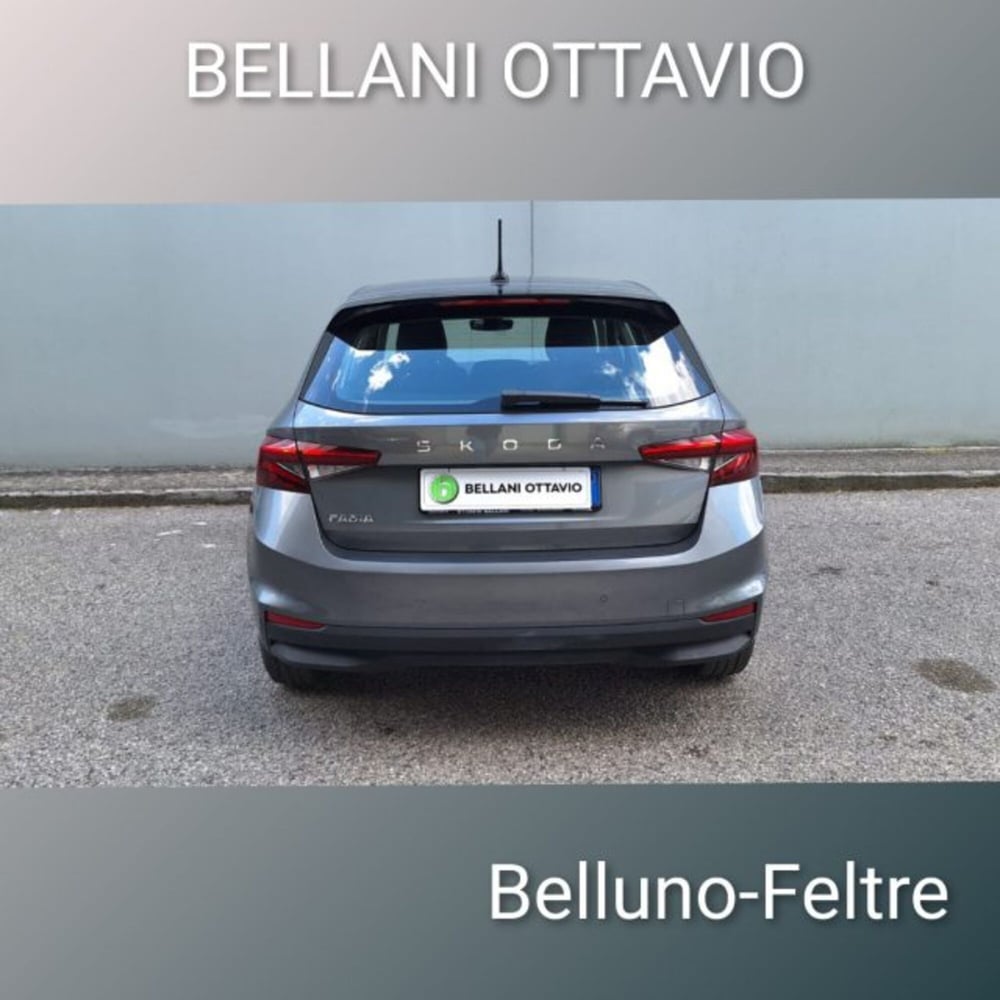 Skoda Fabia usata a Belluno (7)