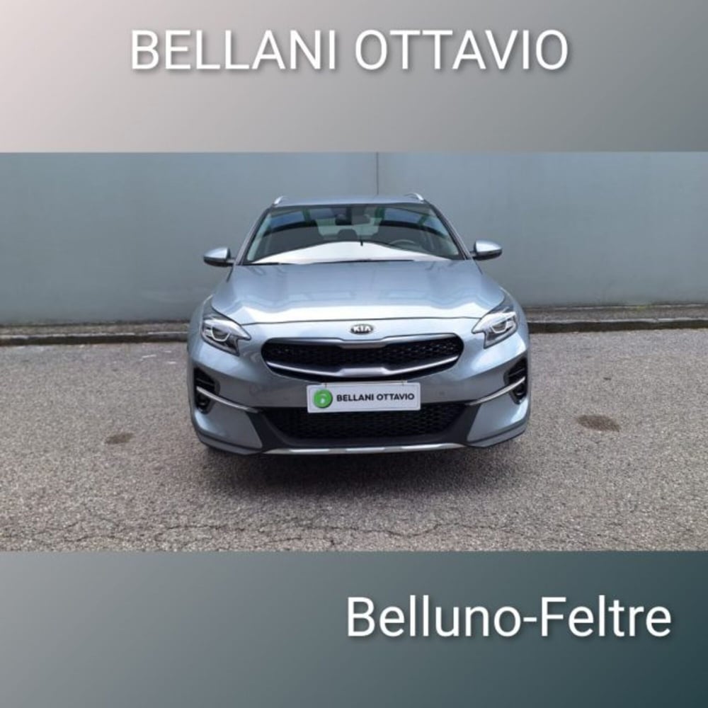 Kia XCeed usata a Belluno (2)