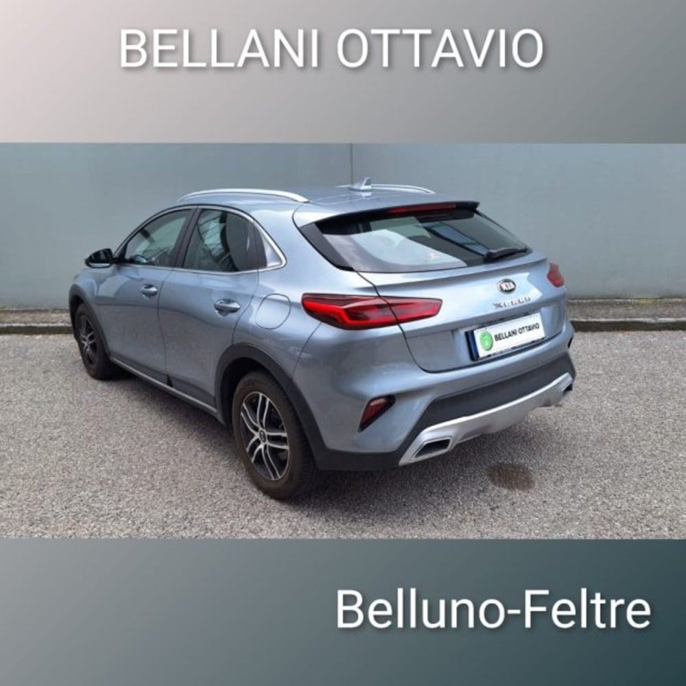Kia XCeed usata a Belluno (4)