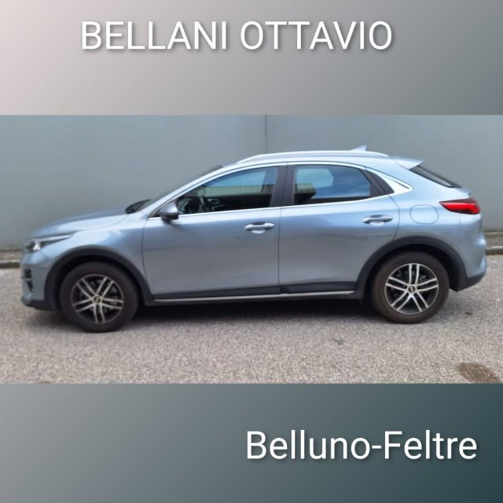 Kia XCeed usata a Belluno (6)
