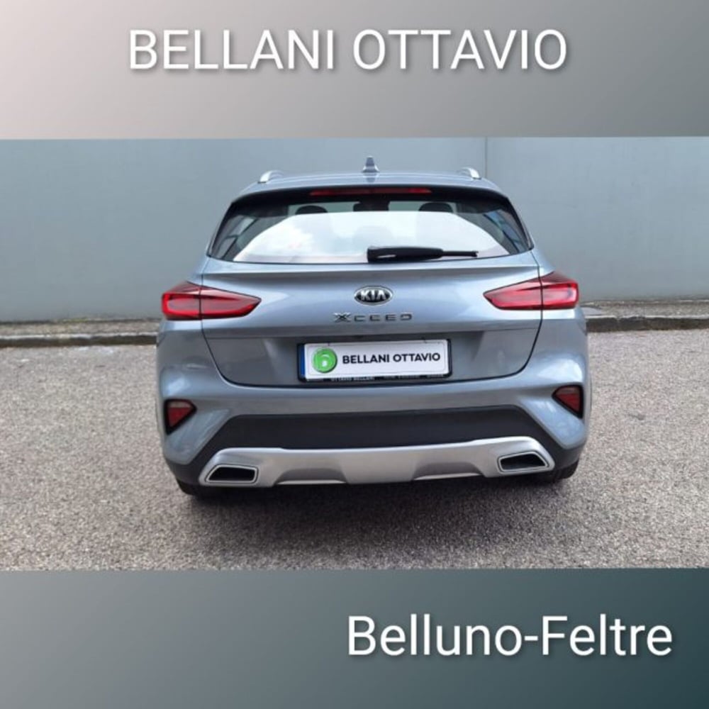 Kia XCeed usata a Belluno (7)