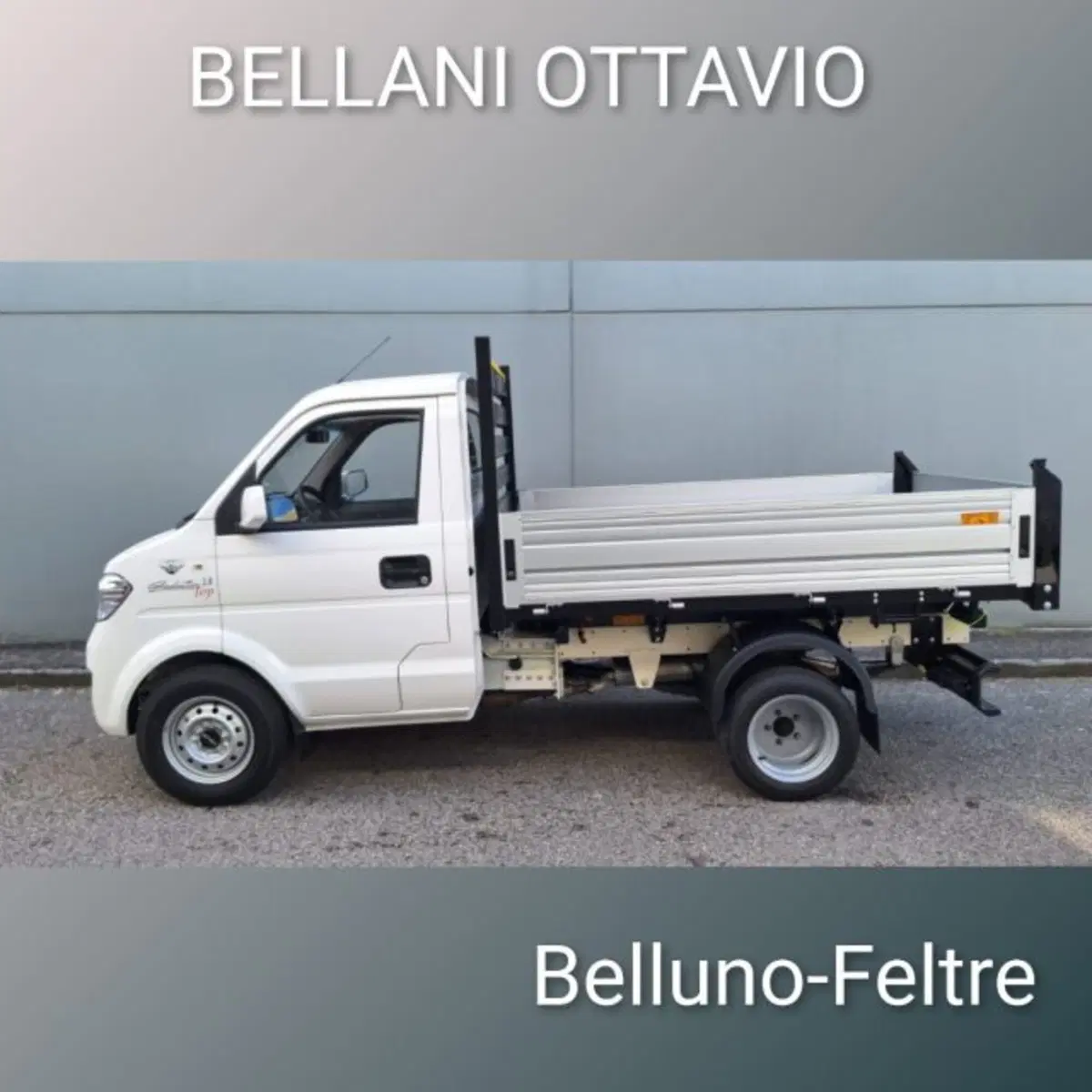 Giotti Victoria Gladiator nuova a Belluno (6)